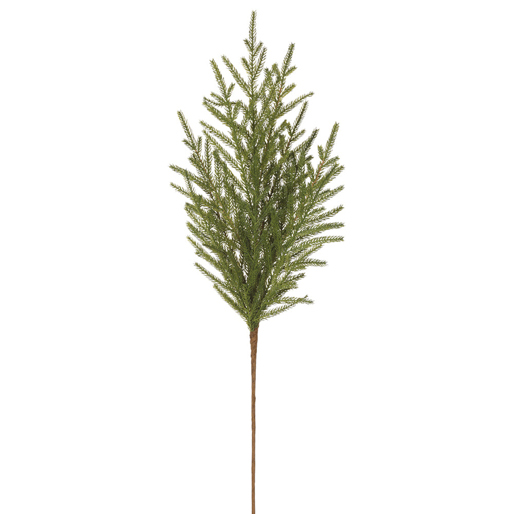 36" Cypress Branch