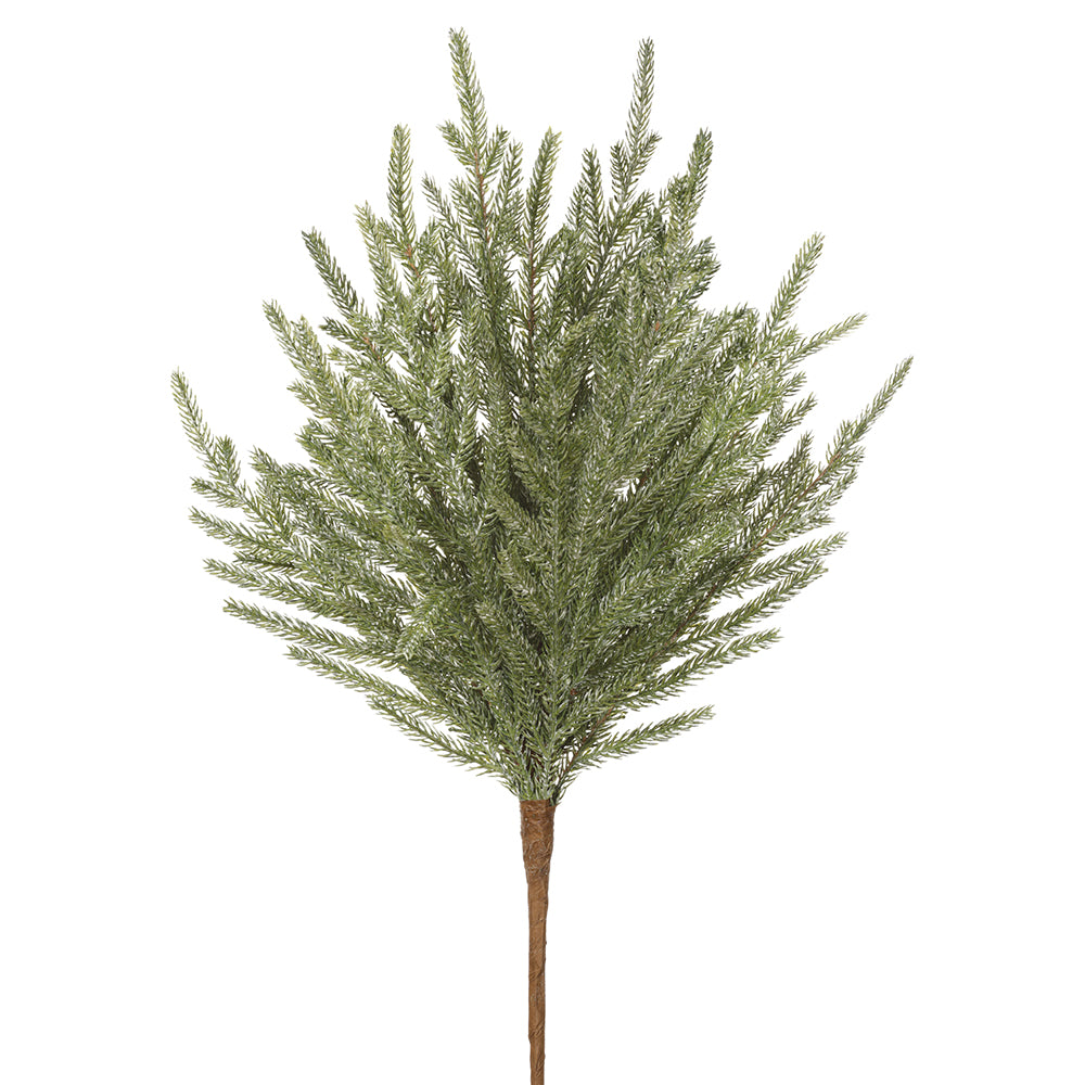20" Cypress Branch