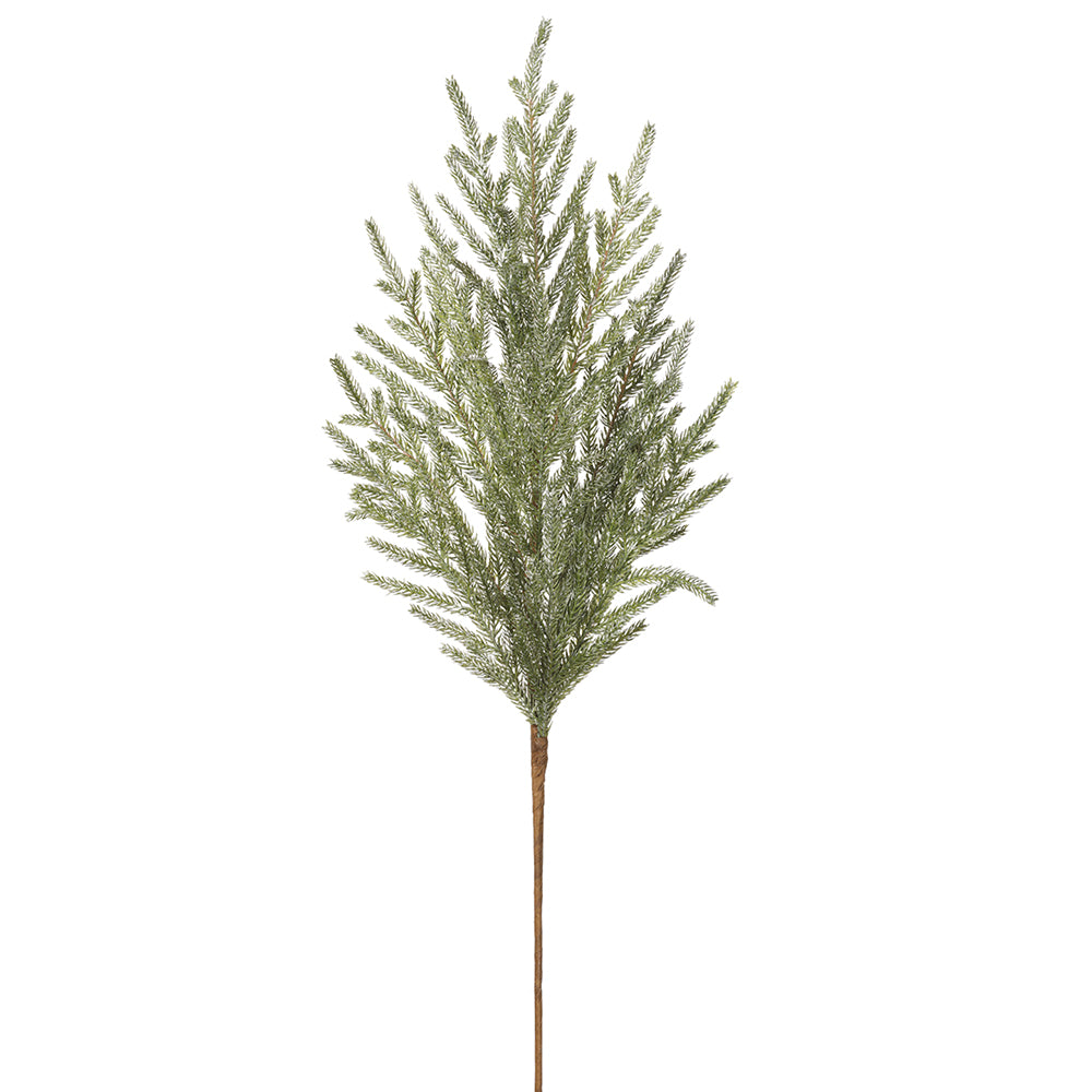 36" Cypress Branch