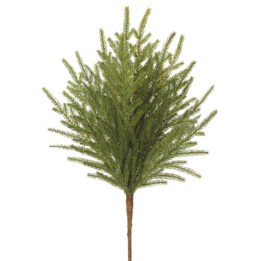 20" Cypress Branch