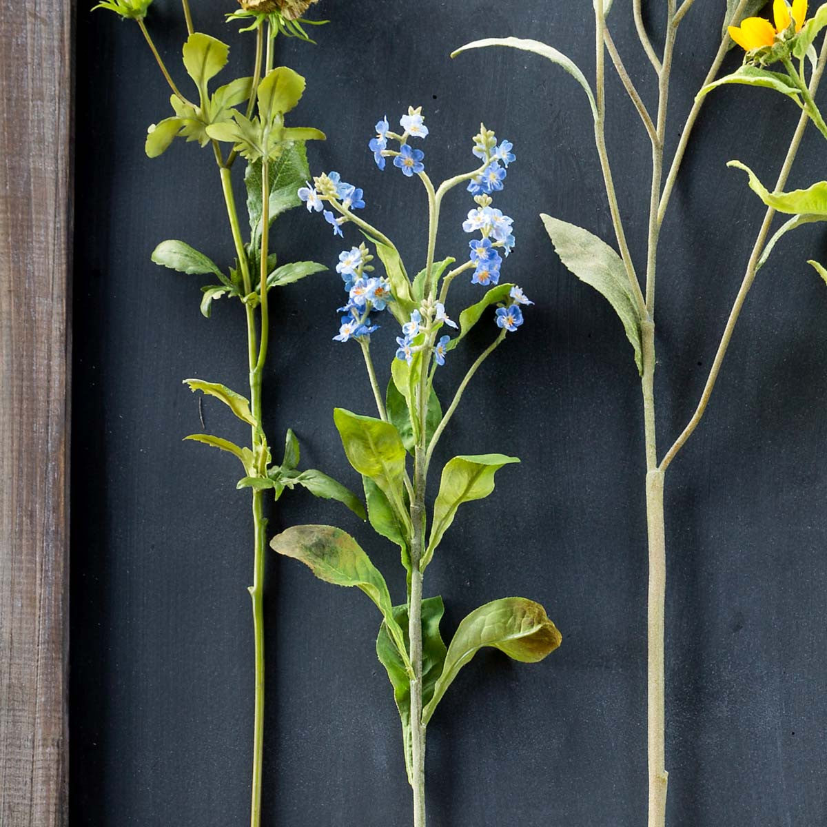 Forget Me Not Stem