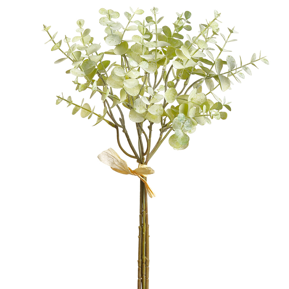Eucalyptus Leaf Bundle