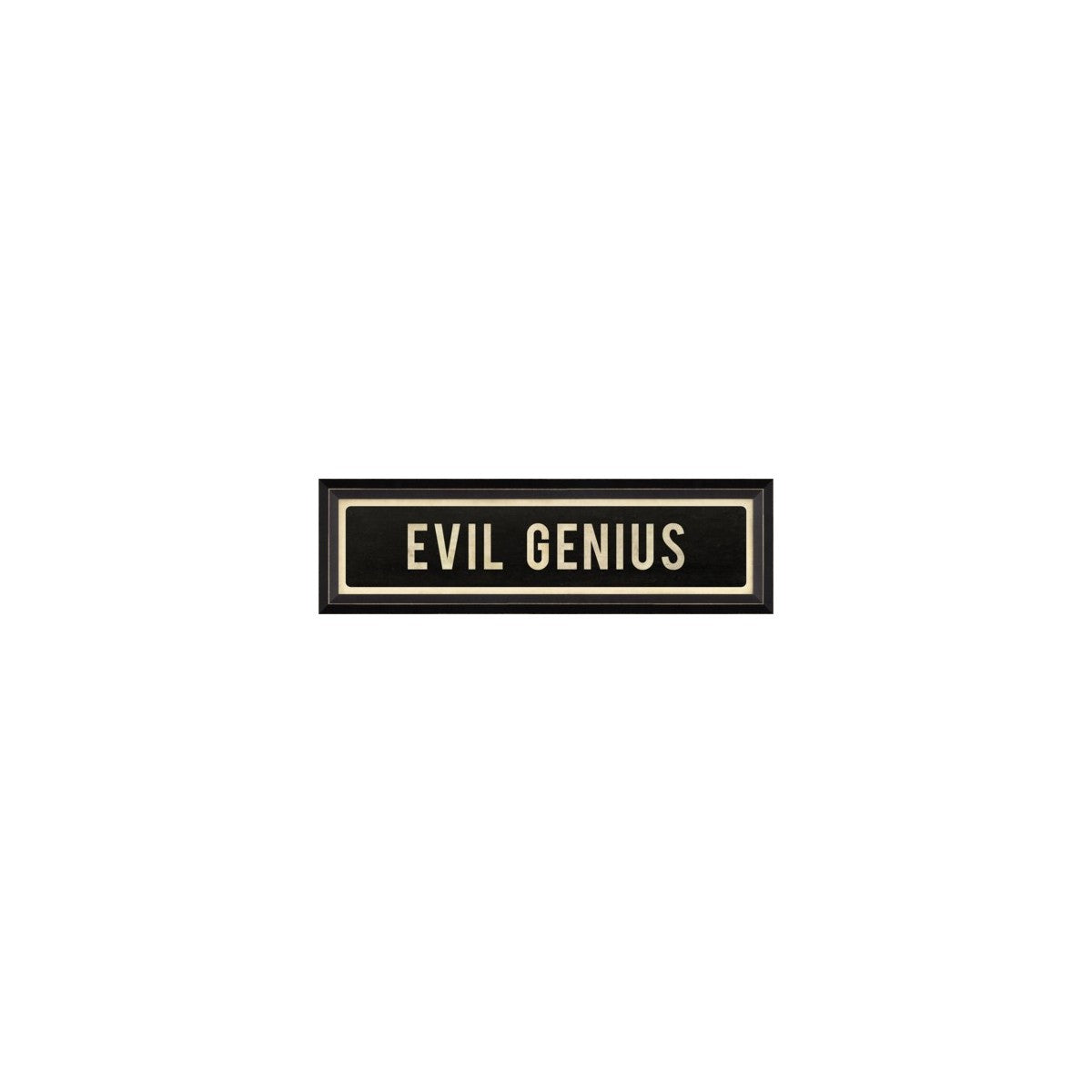 Evil Genius