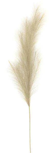 43"L Grass Plume Stem - Beige