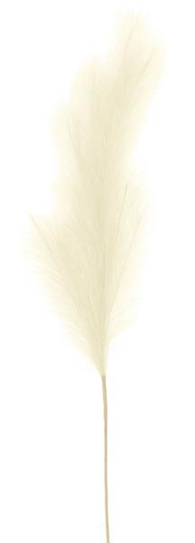43"L Grass Plume Stem - Ivory