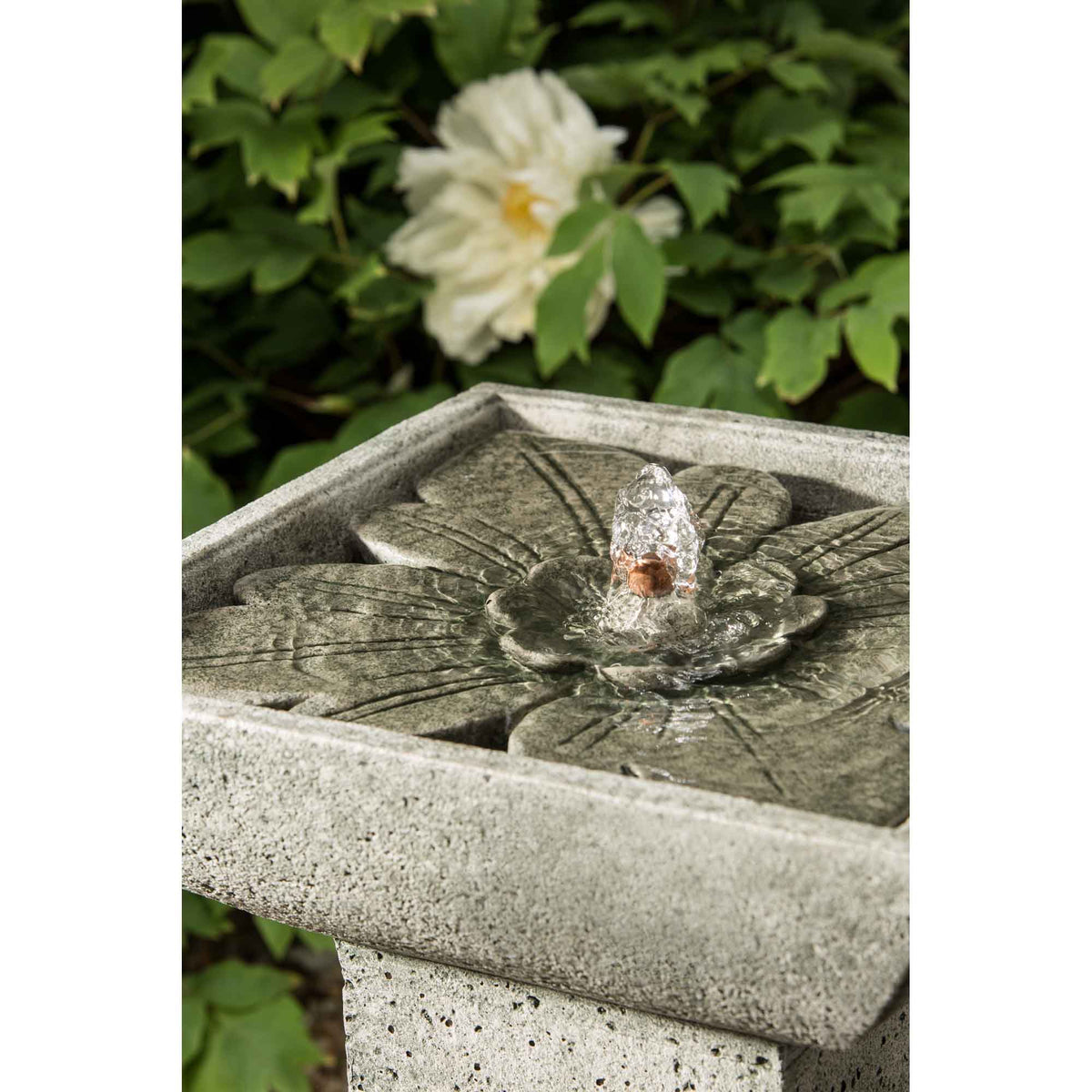 Andra Fountain