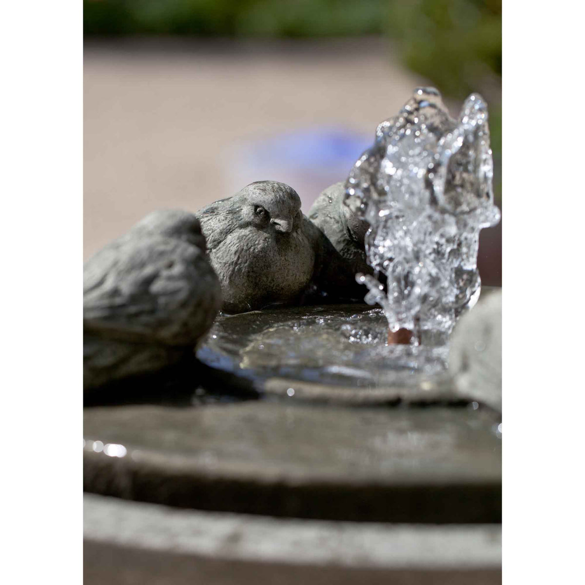Passaros II Fountain
