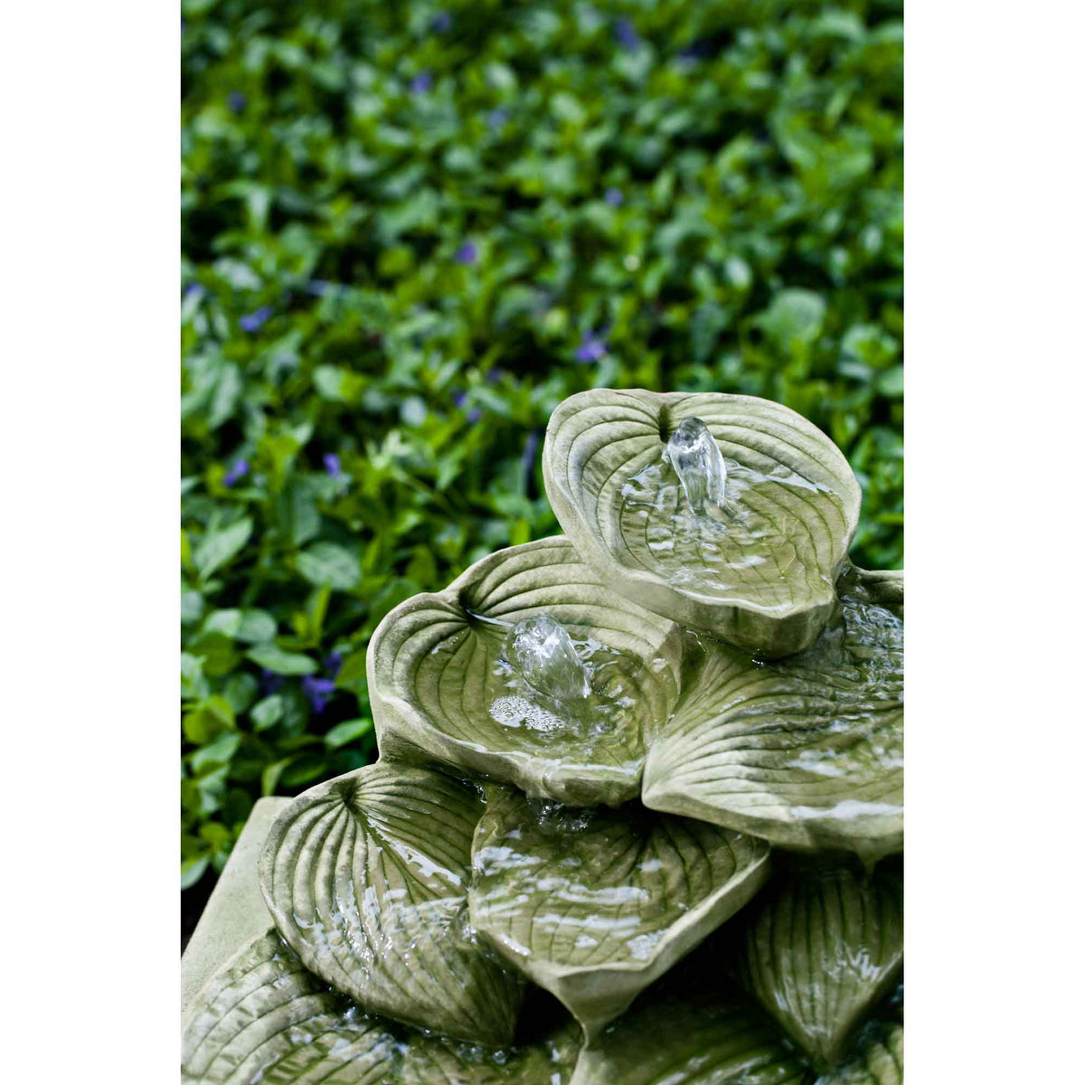 Cascading Hosta Ftn