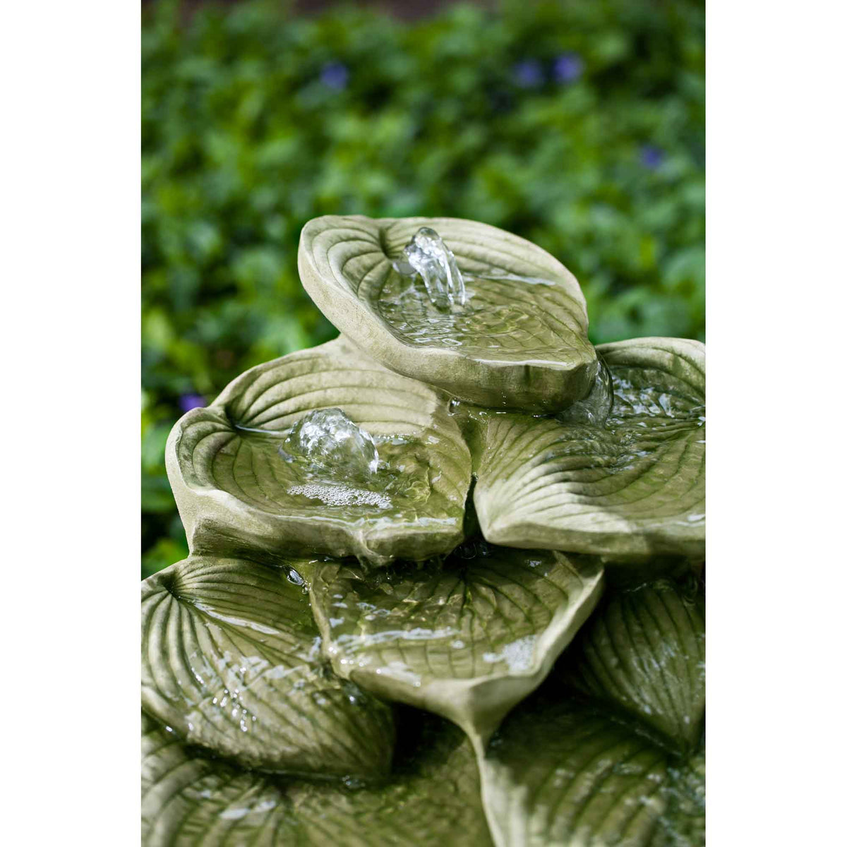 Cascading Hosta Ftn