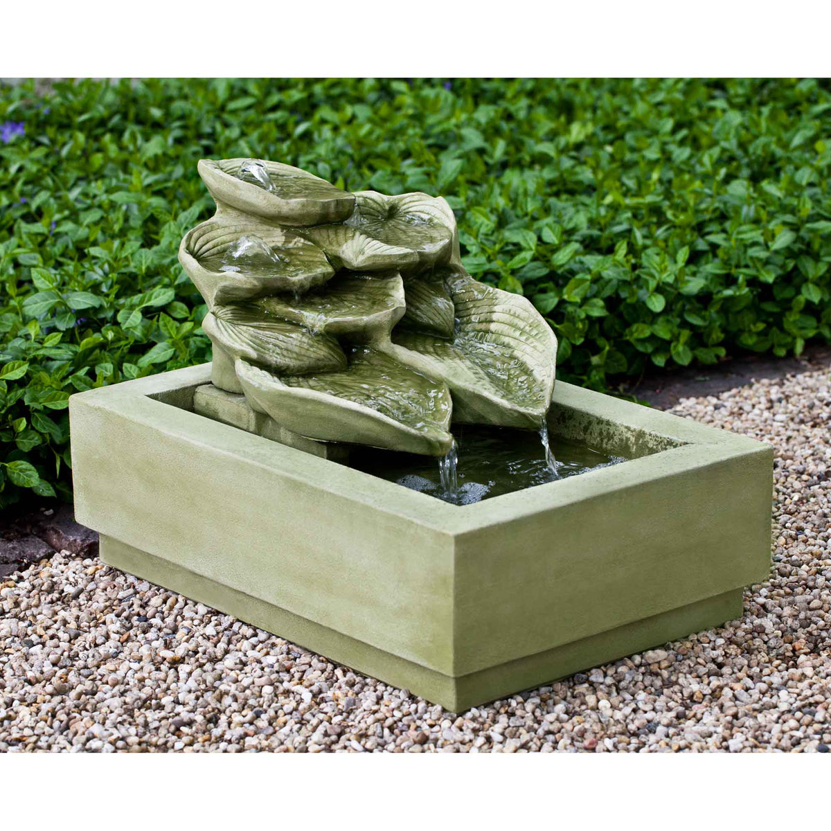 Cascading Hosta Ftn
