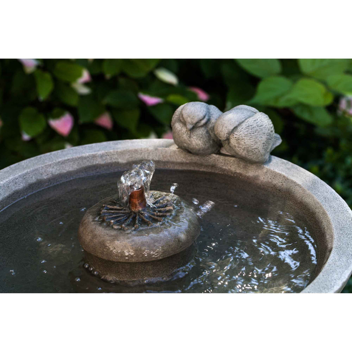 Paradiso Fountain