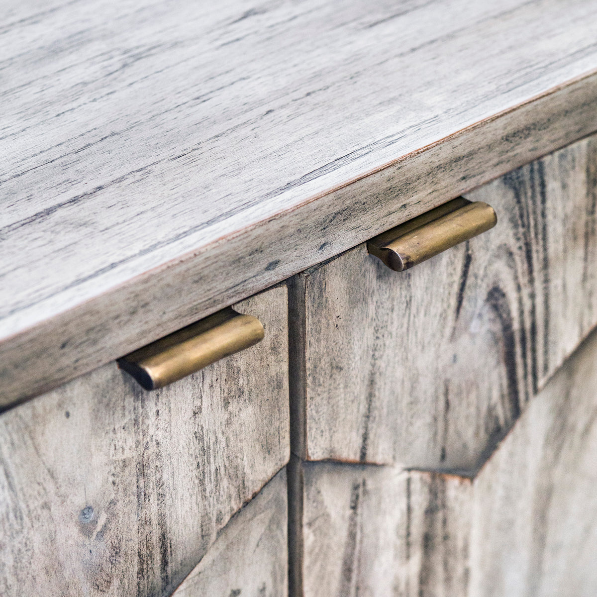 Catori 2 Door Cabinet