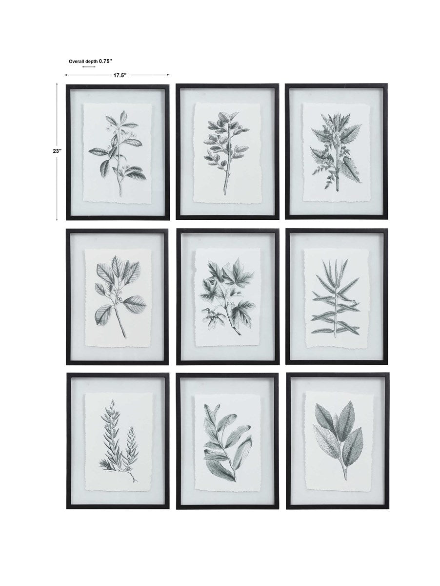 Farmhouse Florals Framed Set of 9 Prints