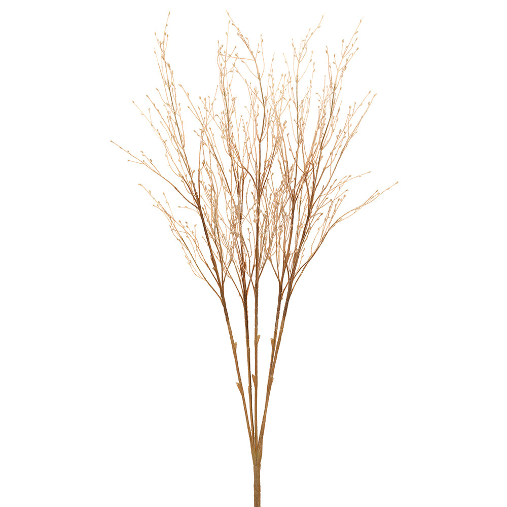 Fountain Grass Bush Rust