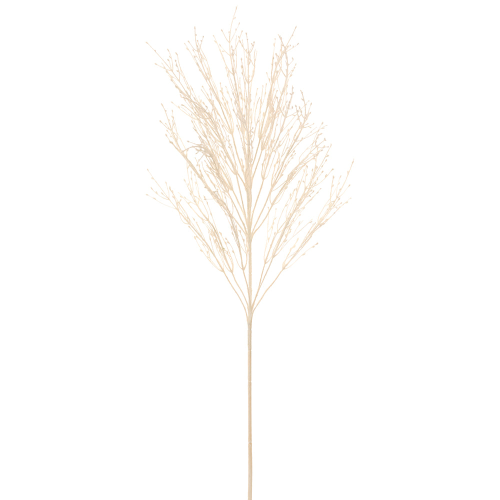 Fountain Grass - Ivory