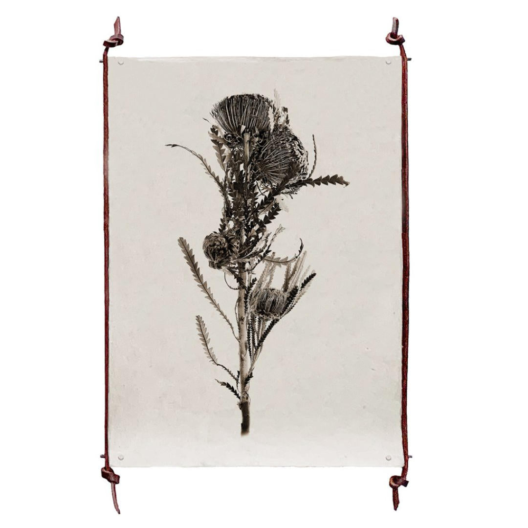 Frameless Leather and Steel Hanger