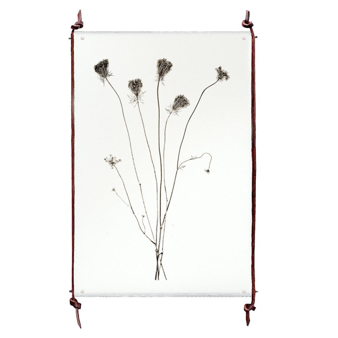 Frameless Leather and Steel Hanger