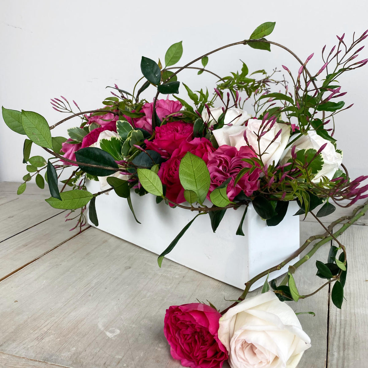 Garden of Roses