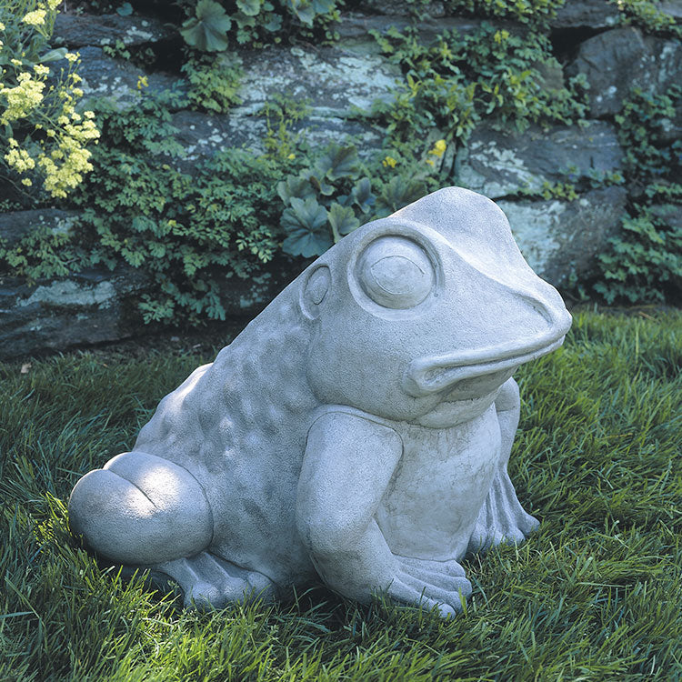 Giant Garden Frog