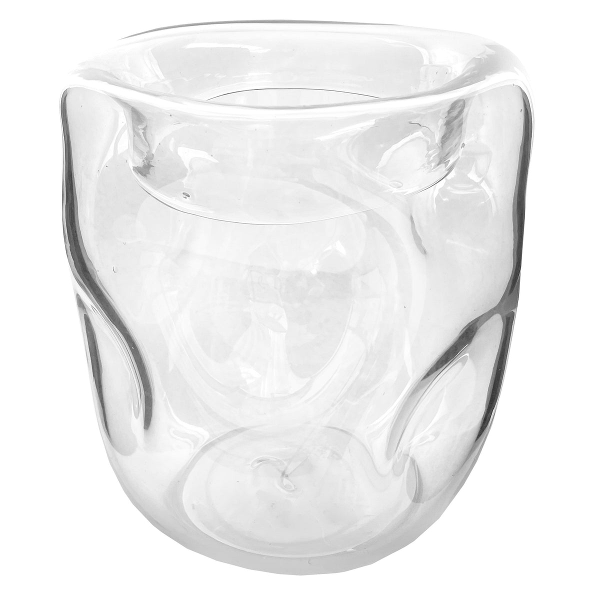 Glass organic vase clear