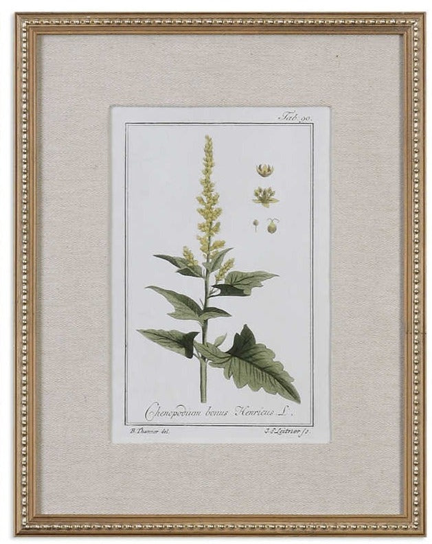 Green Floral Botanical Study