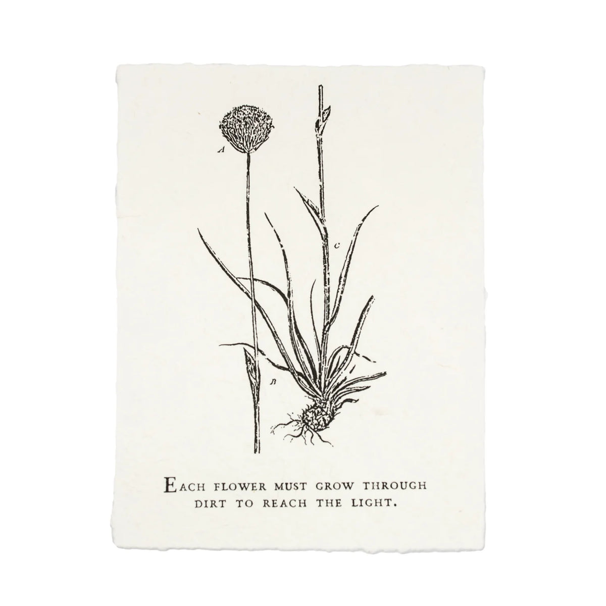 Handmade Paper Print