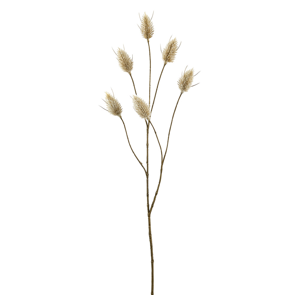 Hare's Tail Stem - Beige