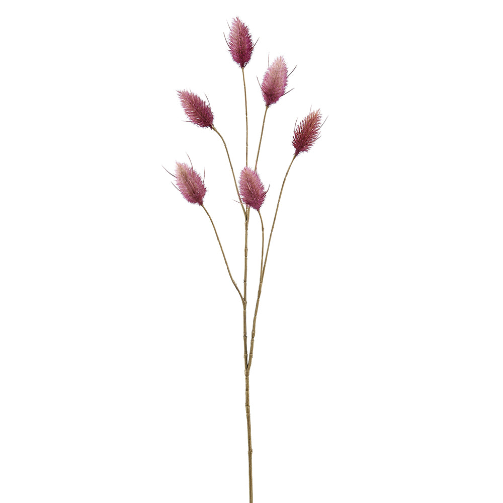Hare's Tail Stem - Mauve