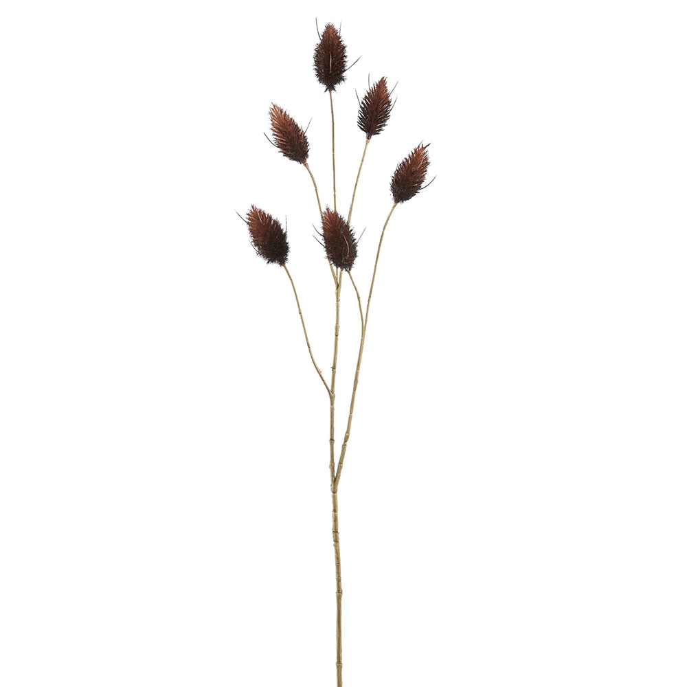 Hare's Tail Stem - Brown