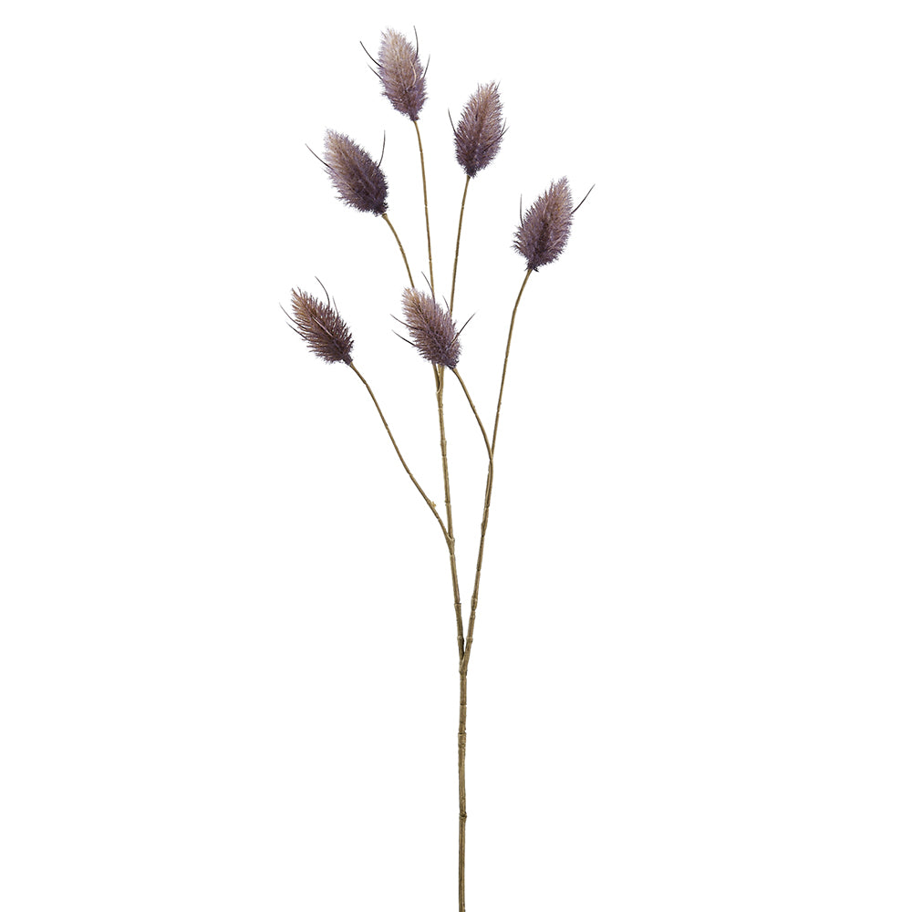 Hare's Tail Stem - Purple