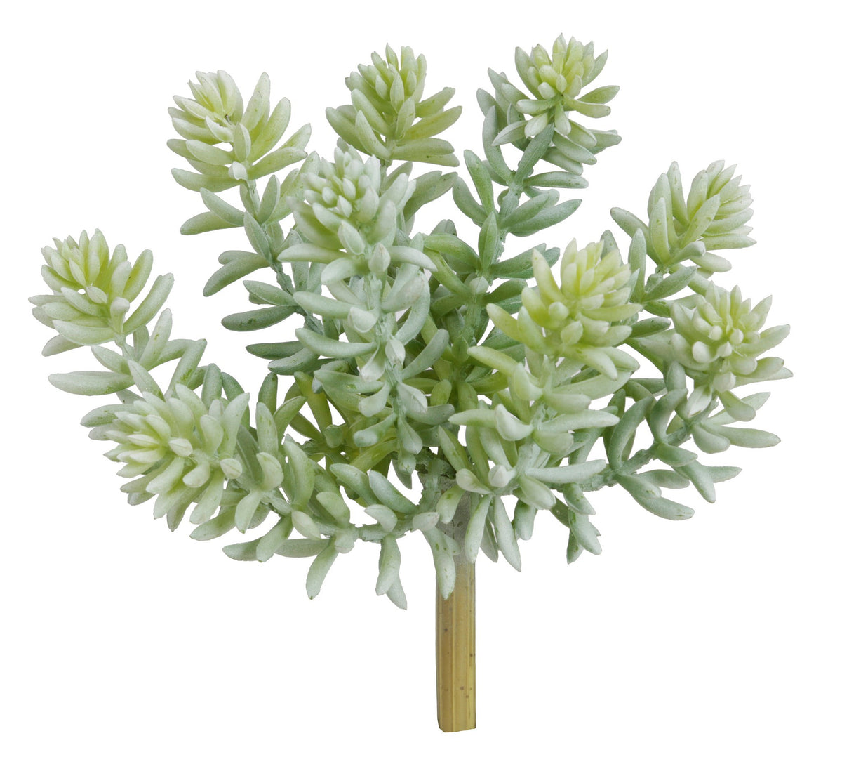 Jade Lotus - Grey