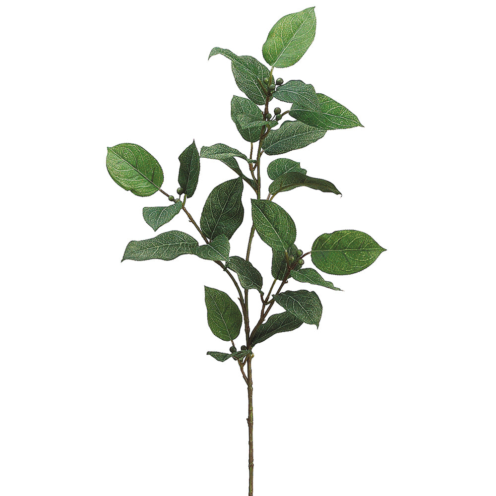 Lemon Leaf Spray