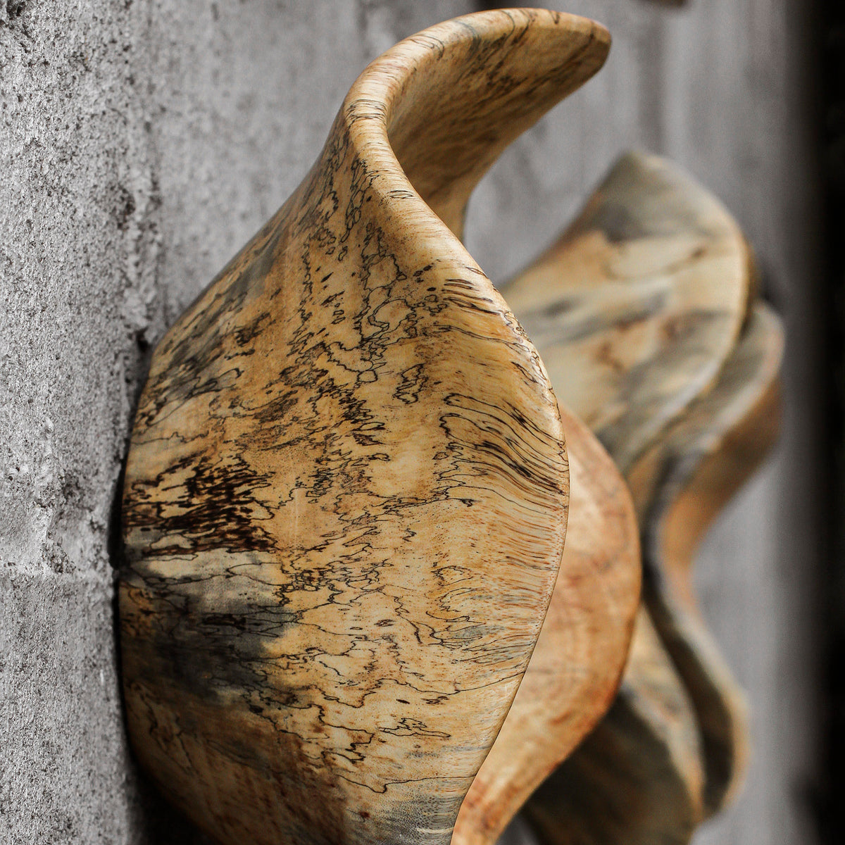 Tamarine Wood Wall Decor S/3