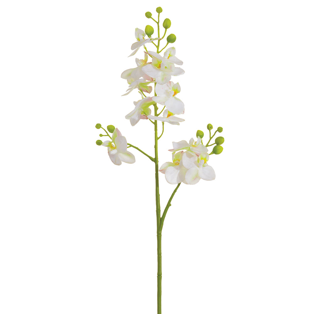 Mini Phalaenopsis Stem - White