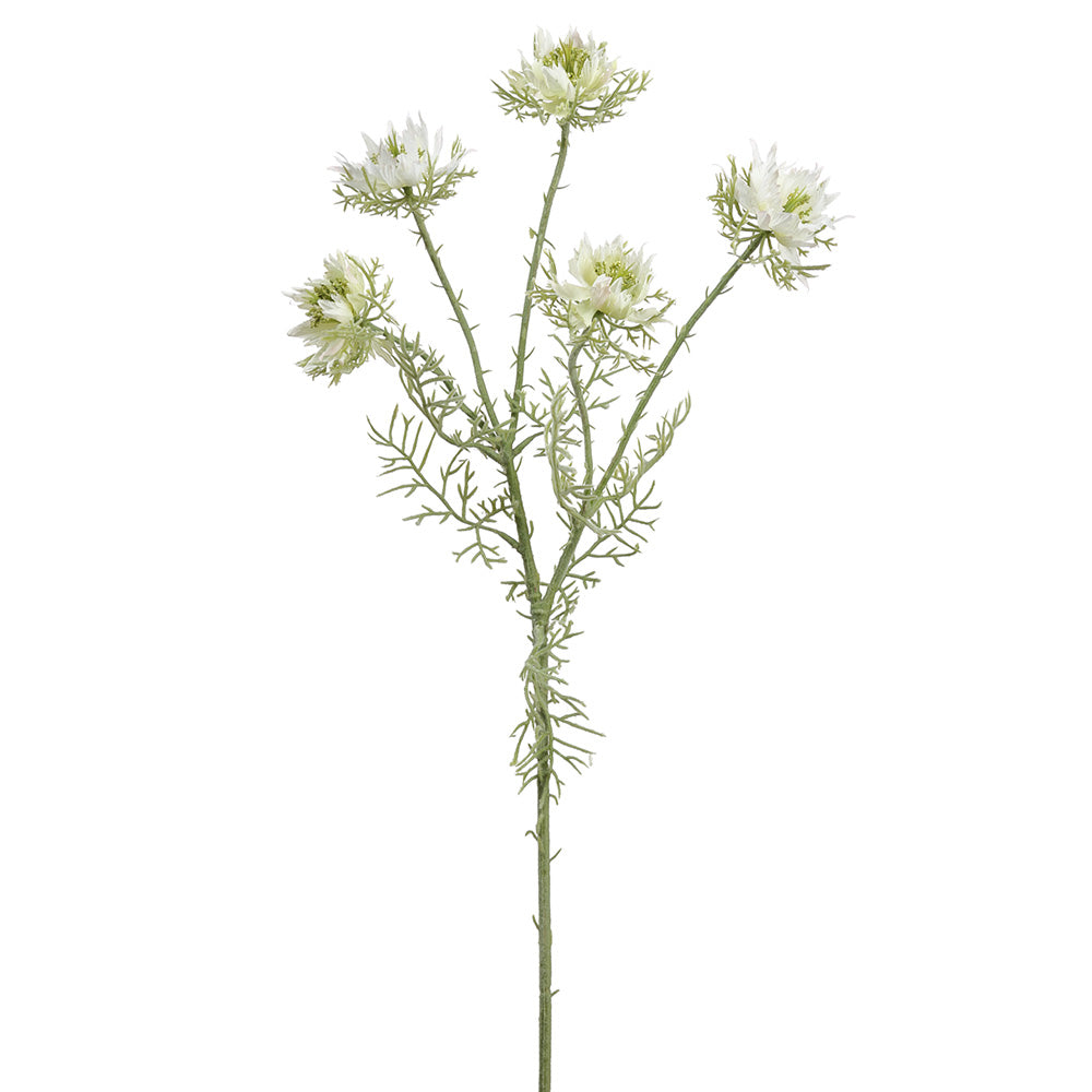 22" Nigella