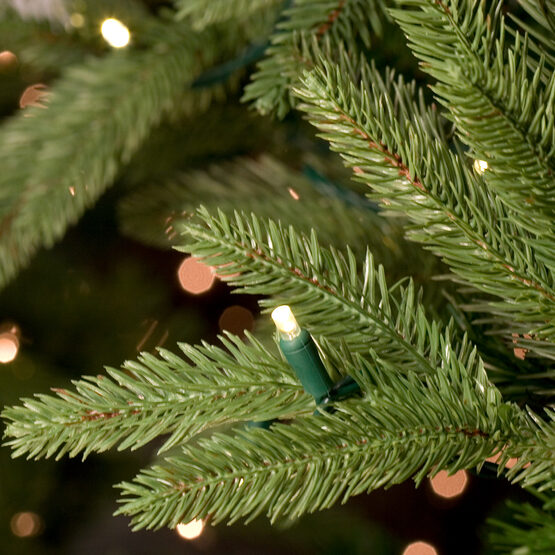 9’ Noble Fir Tree