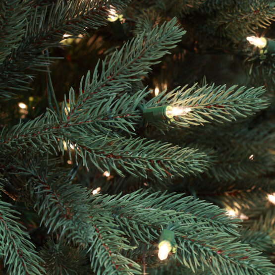 9’ Noble Fir Tree