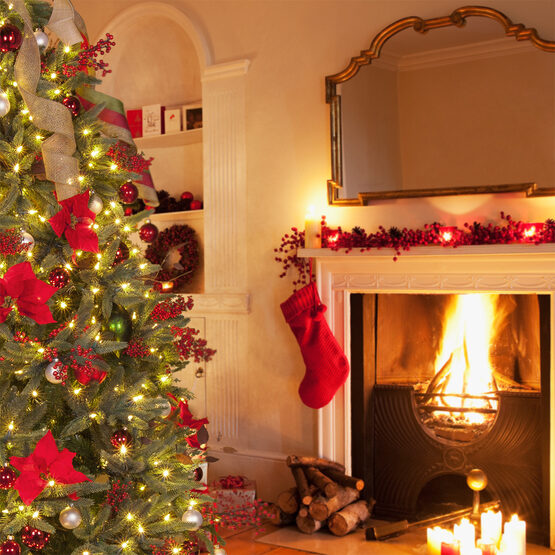 9’ Noble Fir Tree