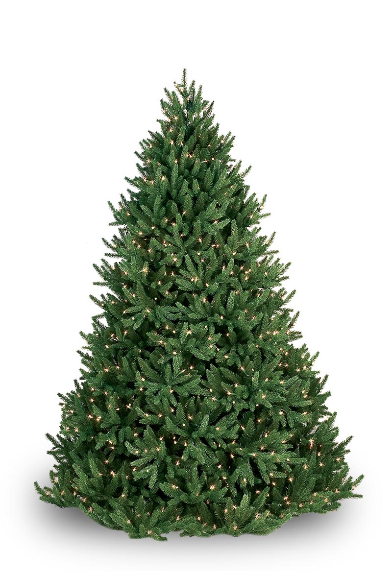 9’ Noble Fir Tree