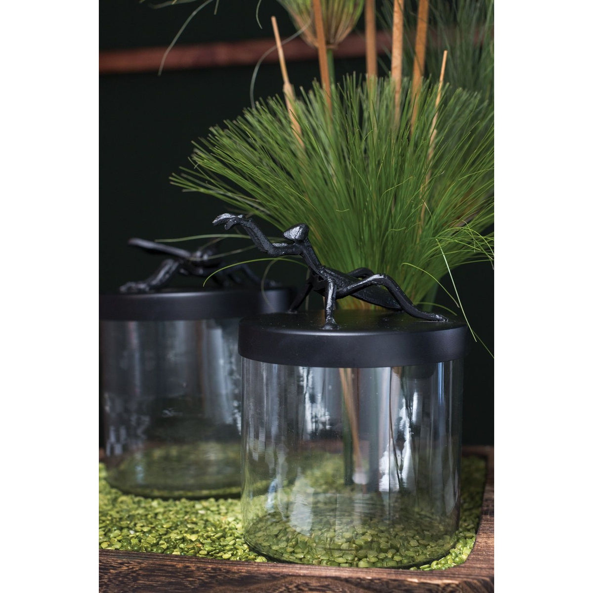 Ology Canister - Grasshopper