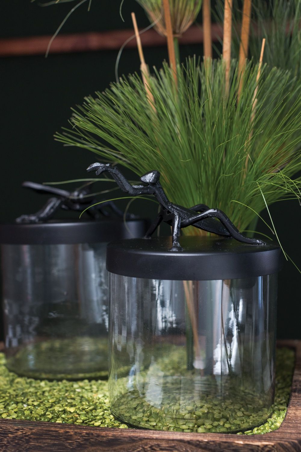 Ology Canister - Grasshopper