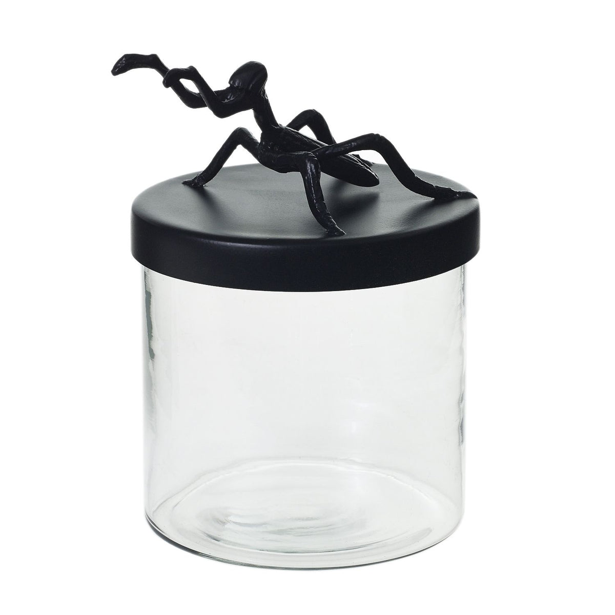 Ology Canister - Grasshopper