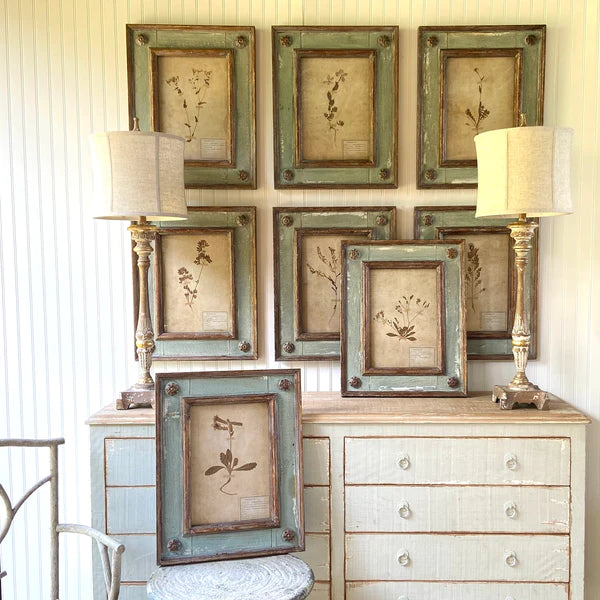 Framed Botanical Collection Set of 8