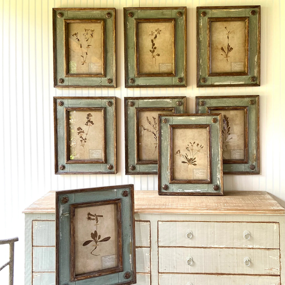Framed Botanical Collection Set of 8