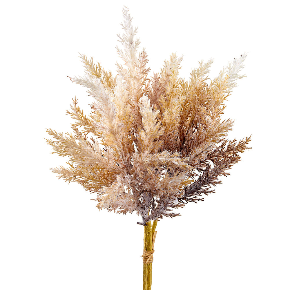 Pampas Grass Bundle - Beige