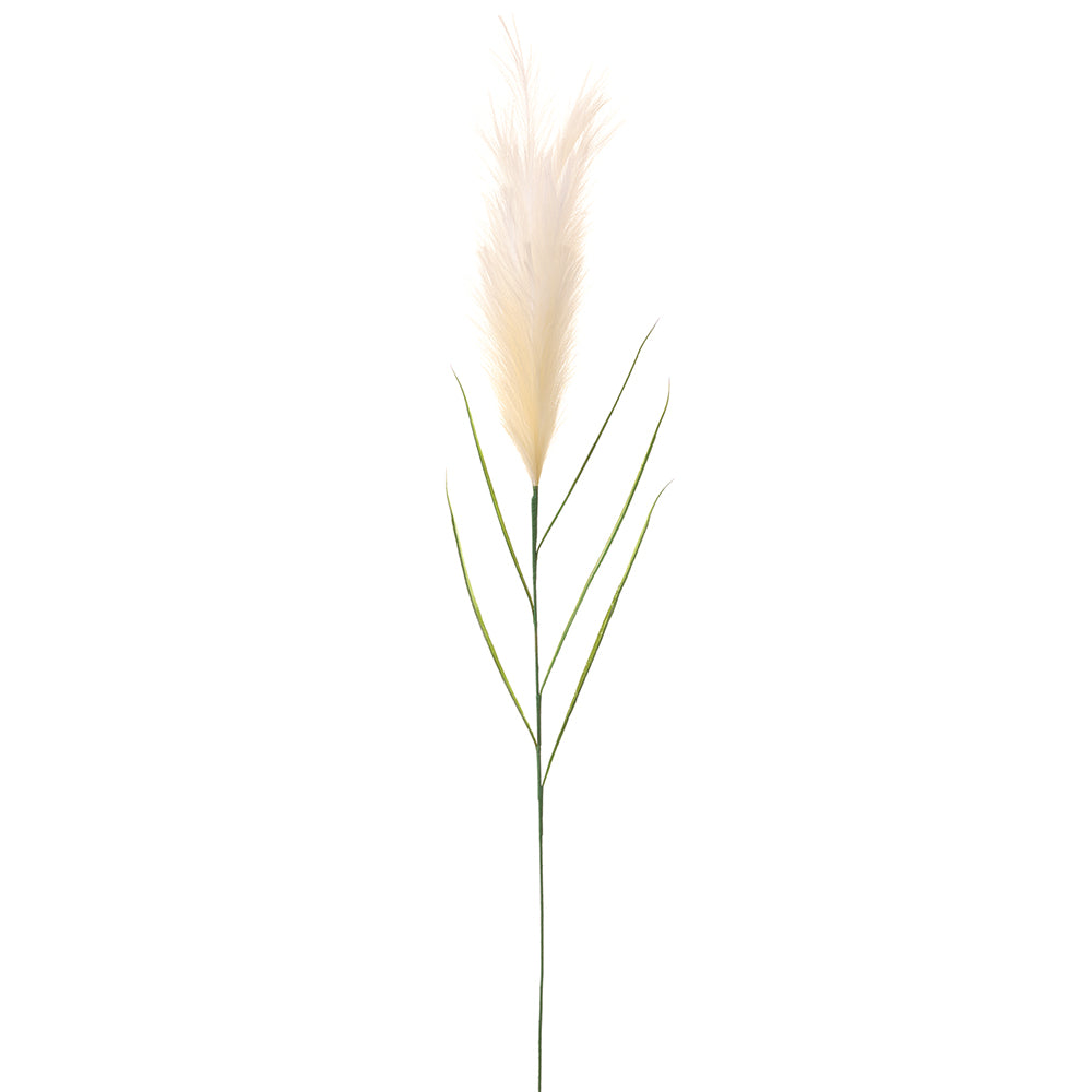 Pampas Grass Stem - Cream