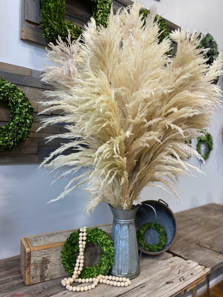 Pampas grass - Bleached