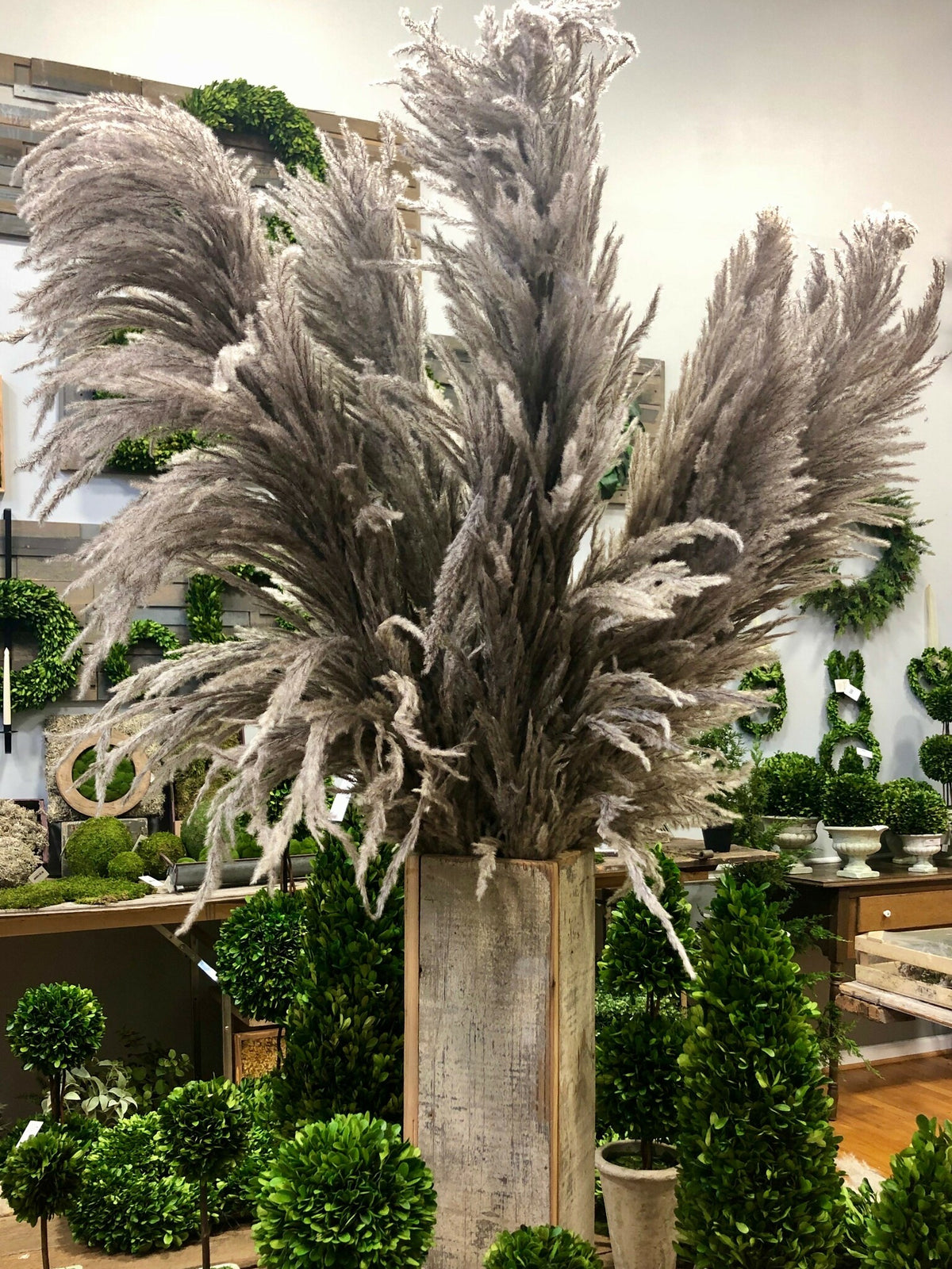 Pampas grass - Taupe