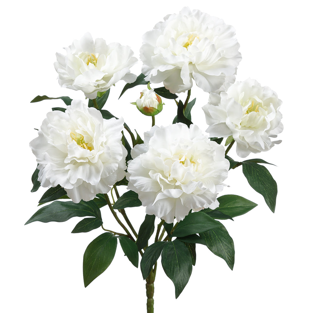 Peony Bunch - White