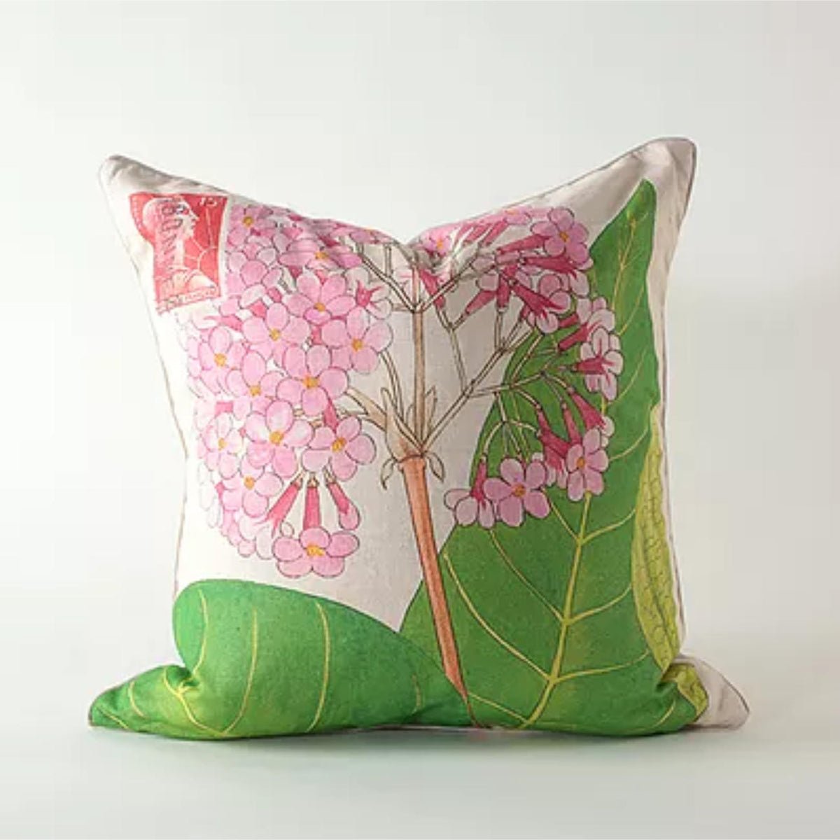 Pink Hydrangea